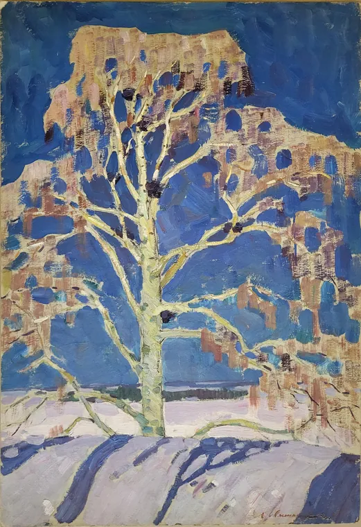 Берёза (зима)